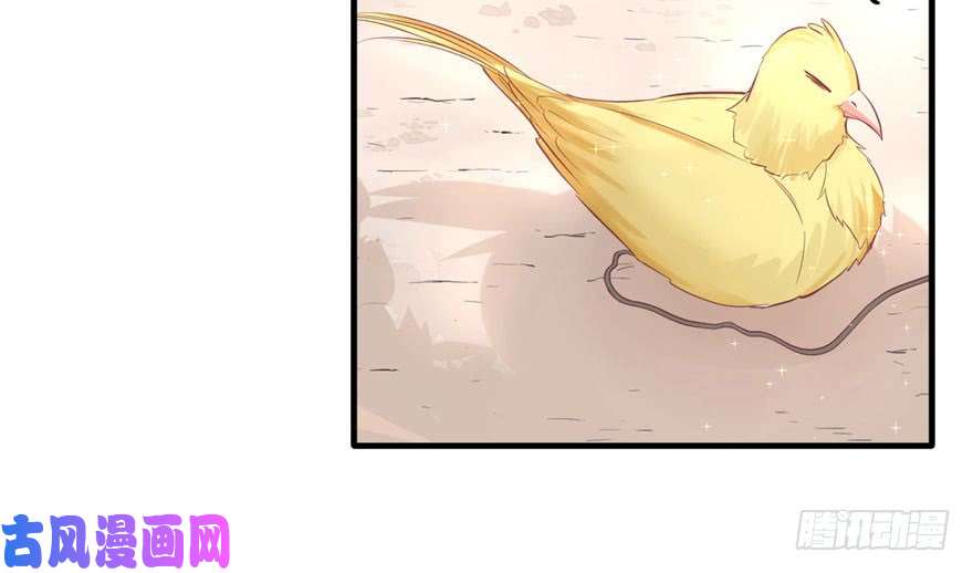 悠哉兽世：种种田，生生崽68