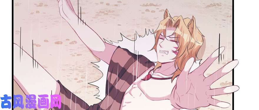 悠哉兽世：种种田，生生崽88