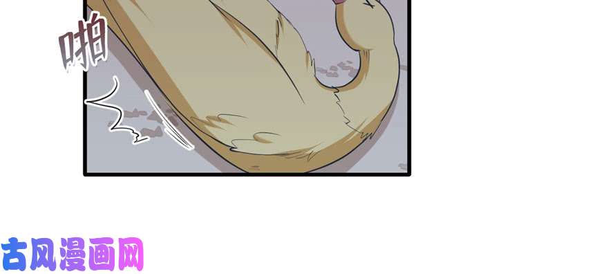 悠哉兽世：种种田，生生崽118