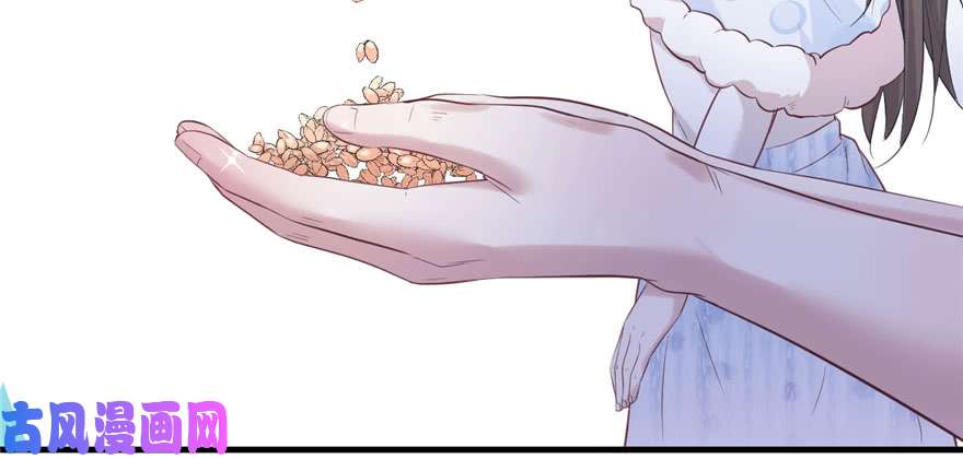 悠哉兽世：种种田，生生崽123