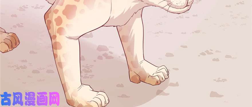 悠哉兽世：种种田，生生崽127