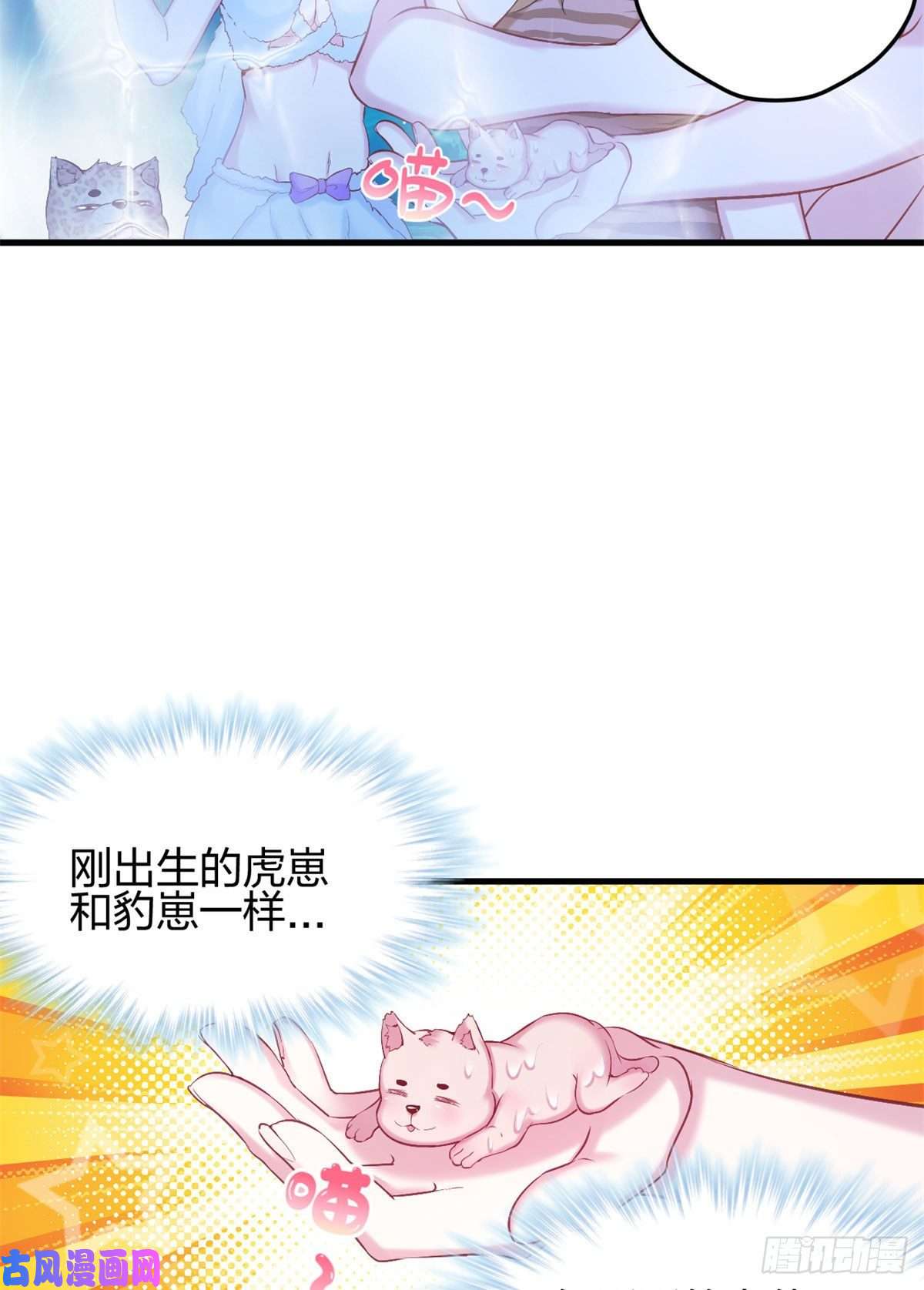 悠哉兽世：种种田，生生崽333