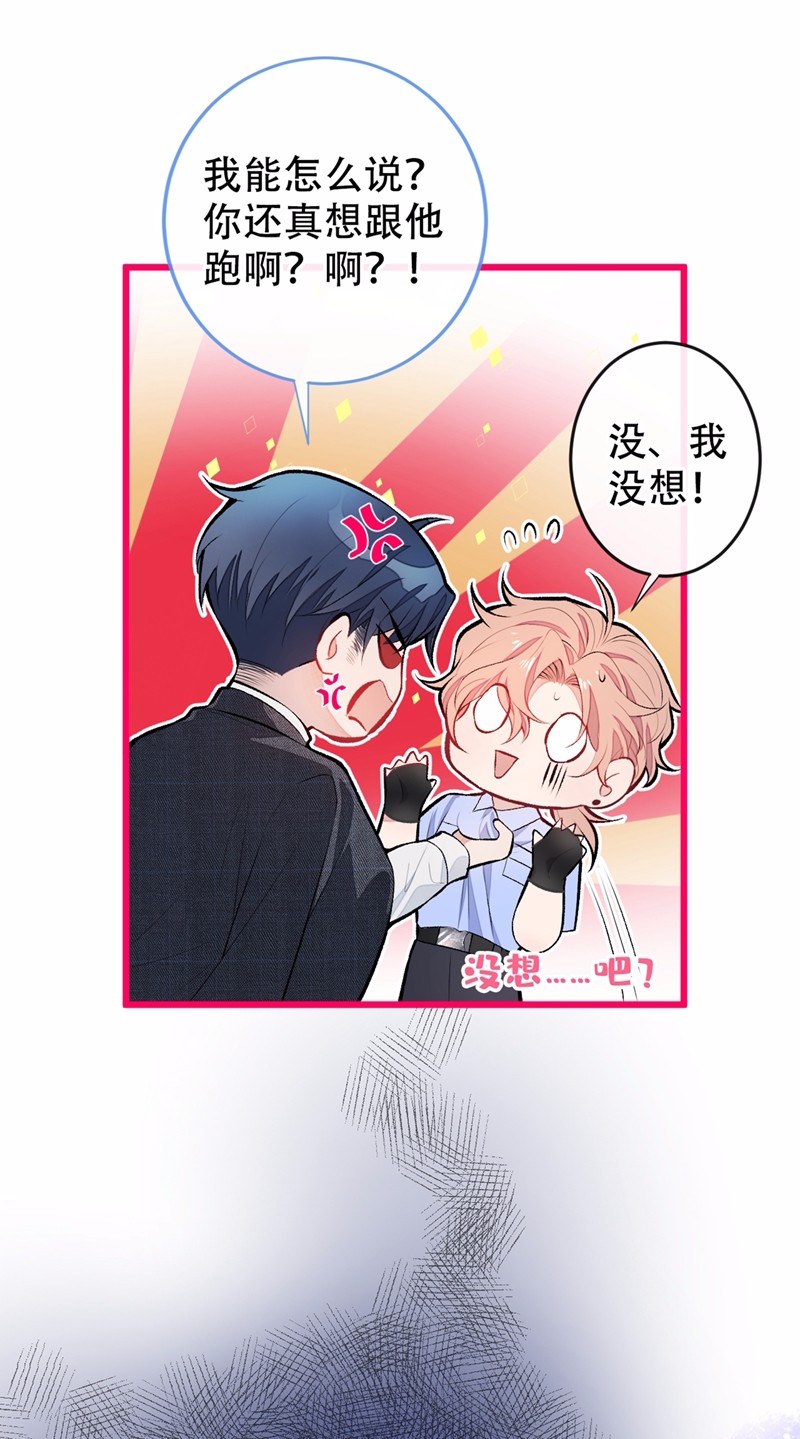 又被男神撩上热搜10 茶艺师章梓莹上线~