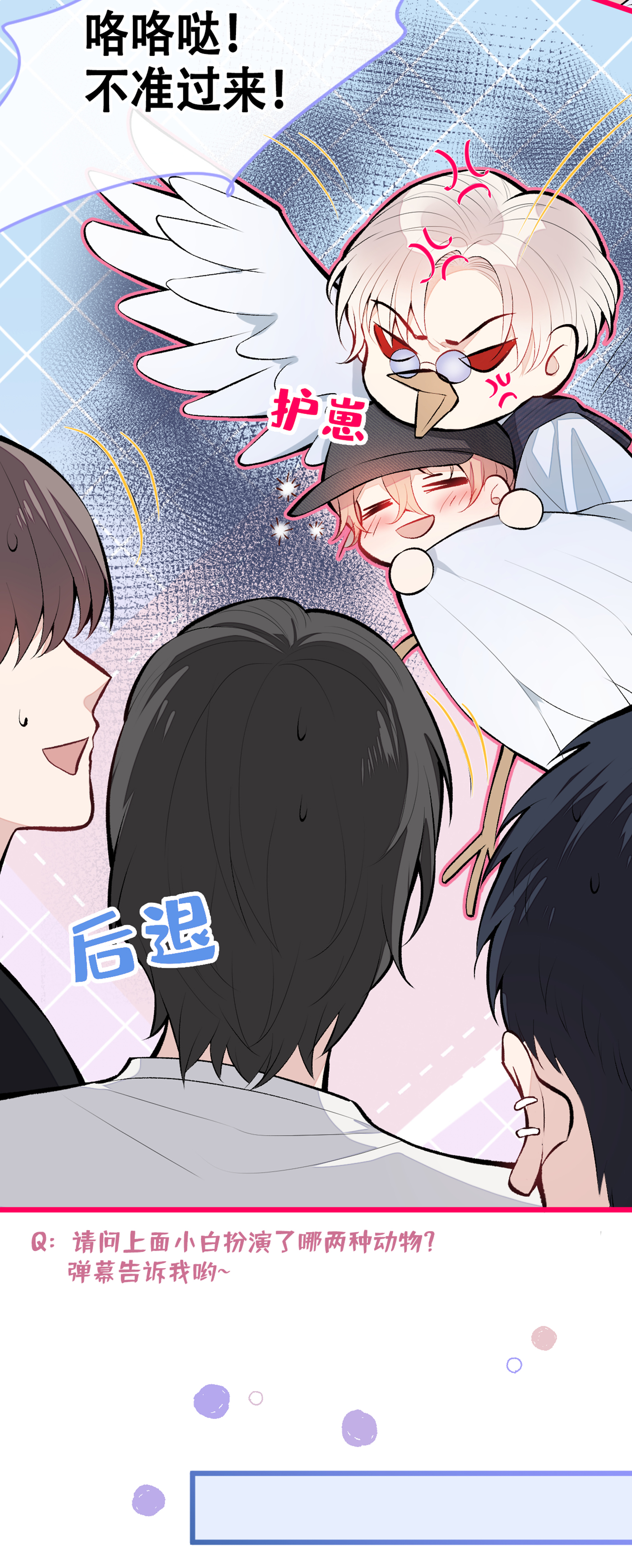 又被男神撩上热搜16 这屋子人全是gay！