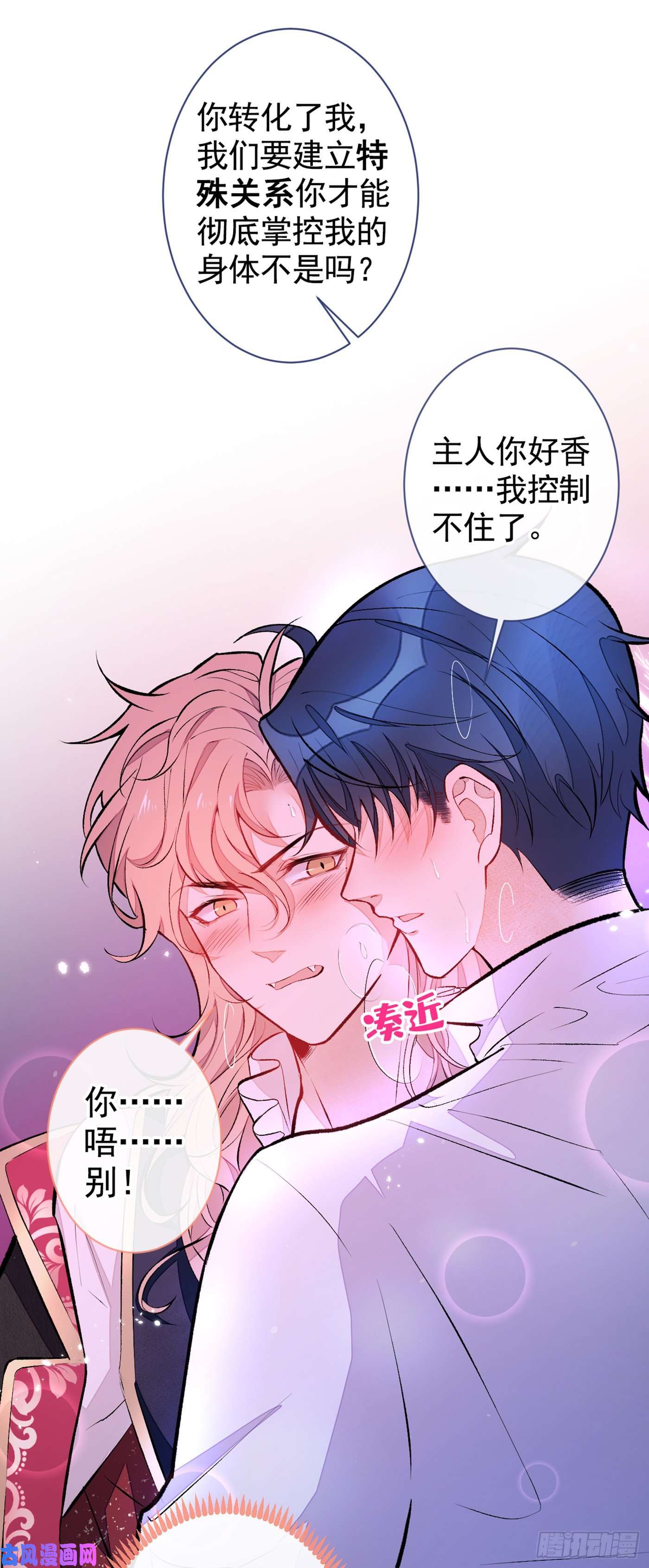 又被男神撩上热搜番外 吸血鬼伯爵的烦恼