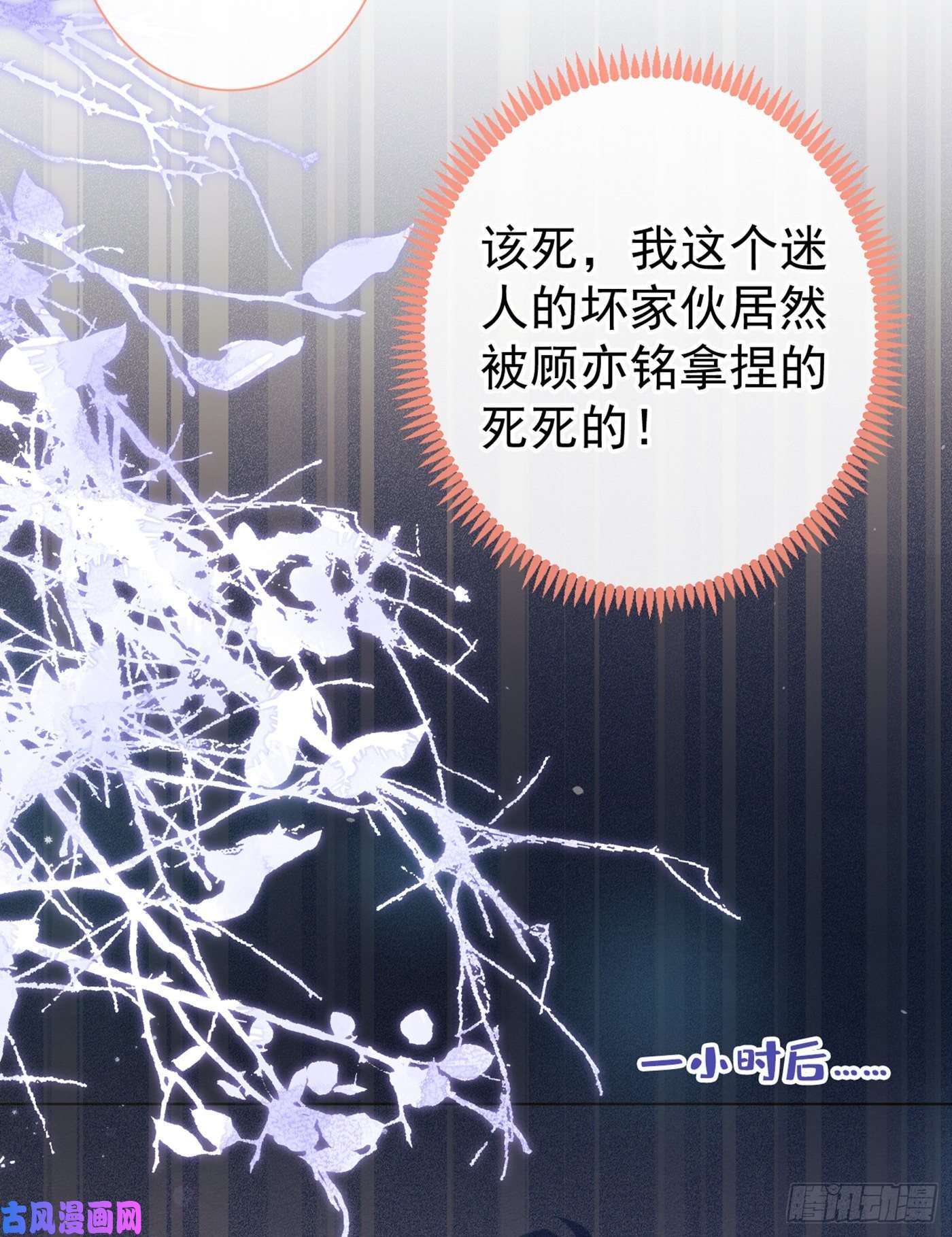 又被男神撩上热搜第87话 生日送什么礼物？