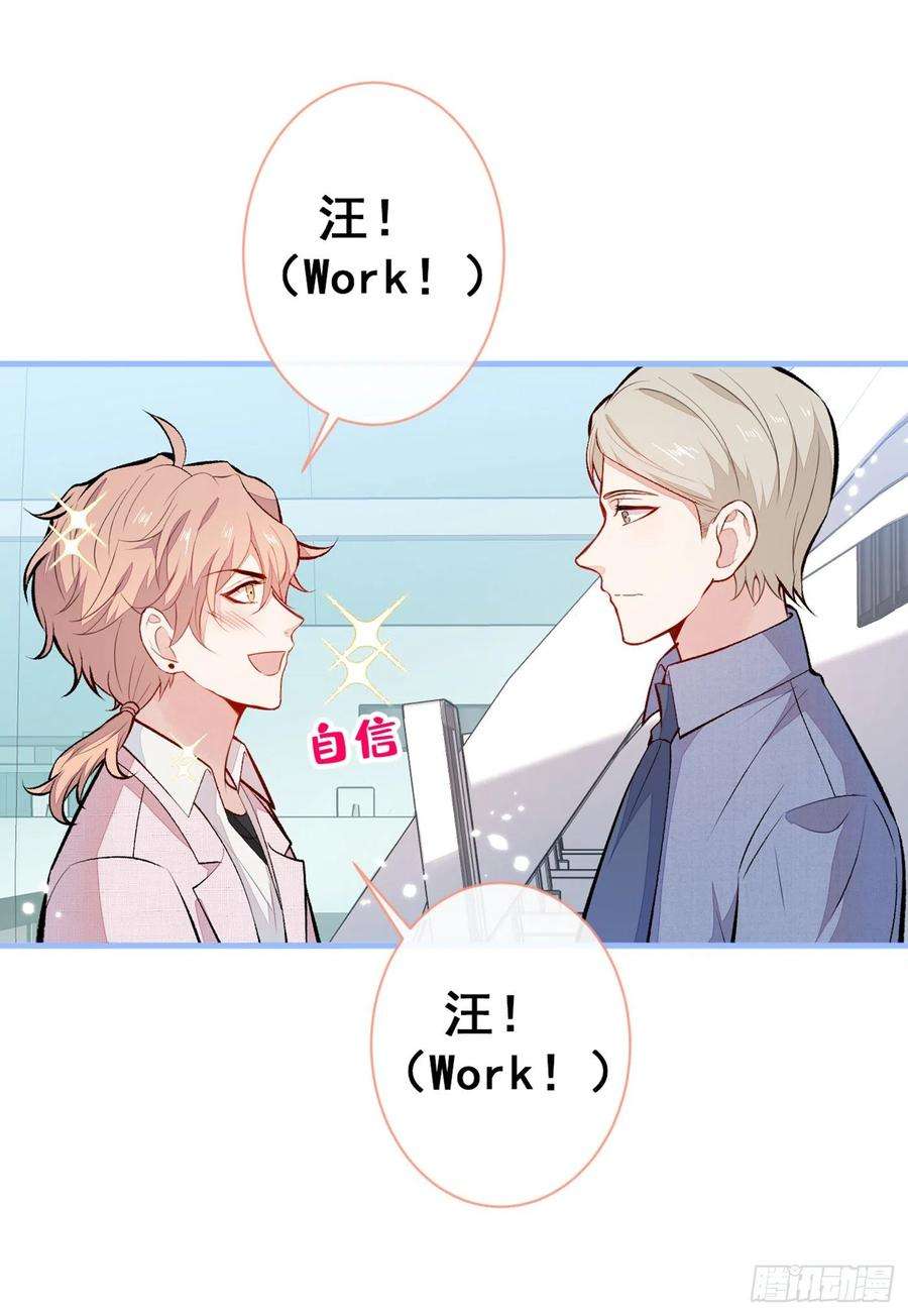 又被男神撩上热搜96话 他们在说什么鸟语