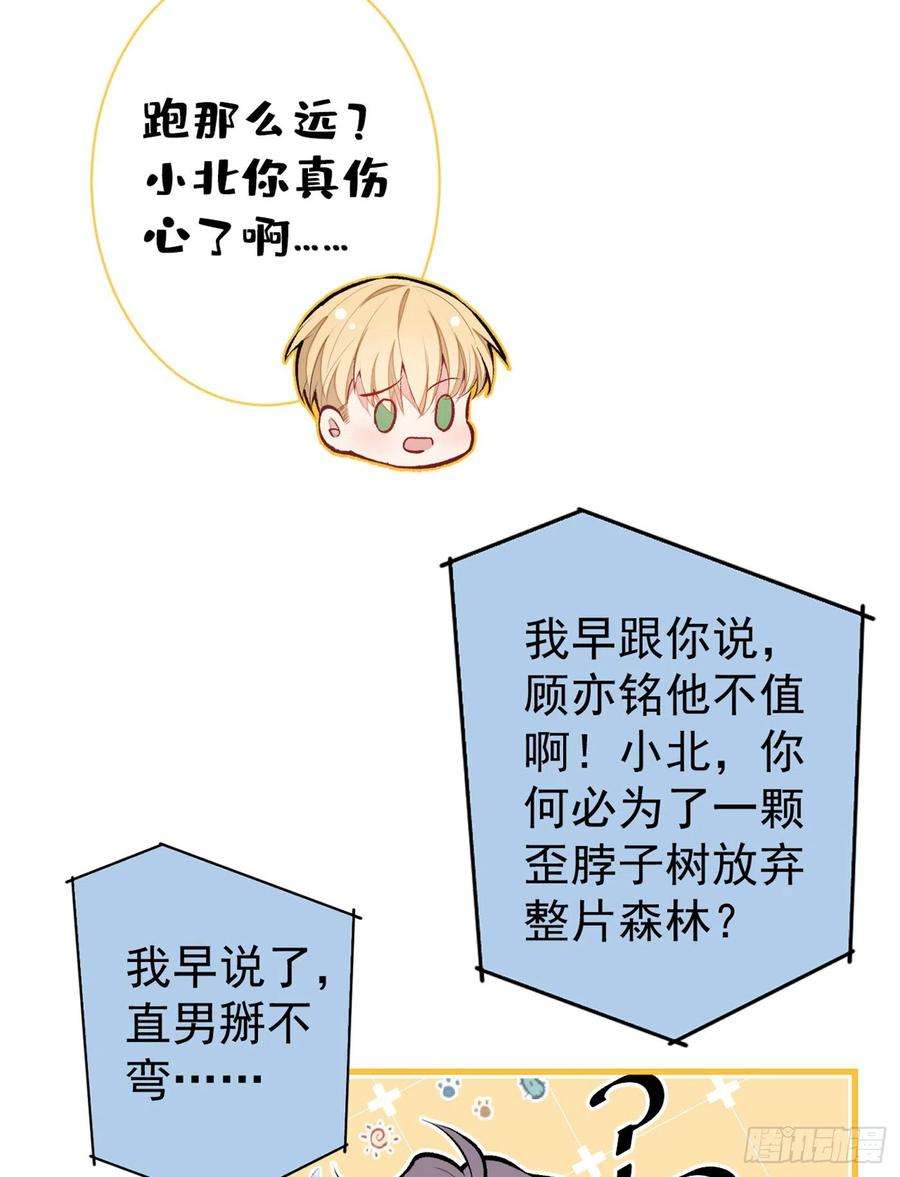 又被男神撩上热搜96话 他们在说什么鸟语