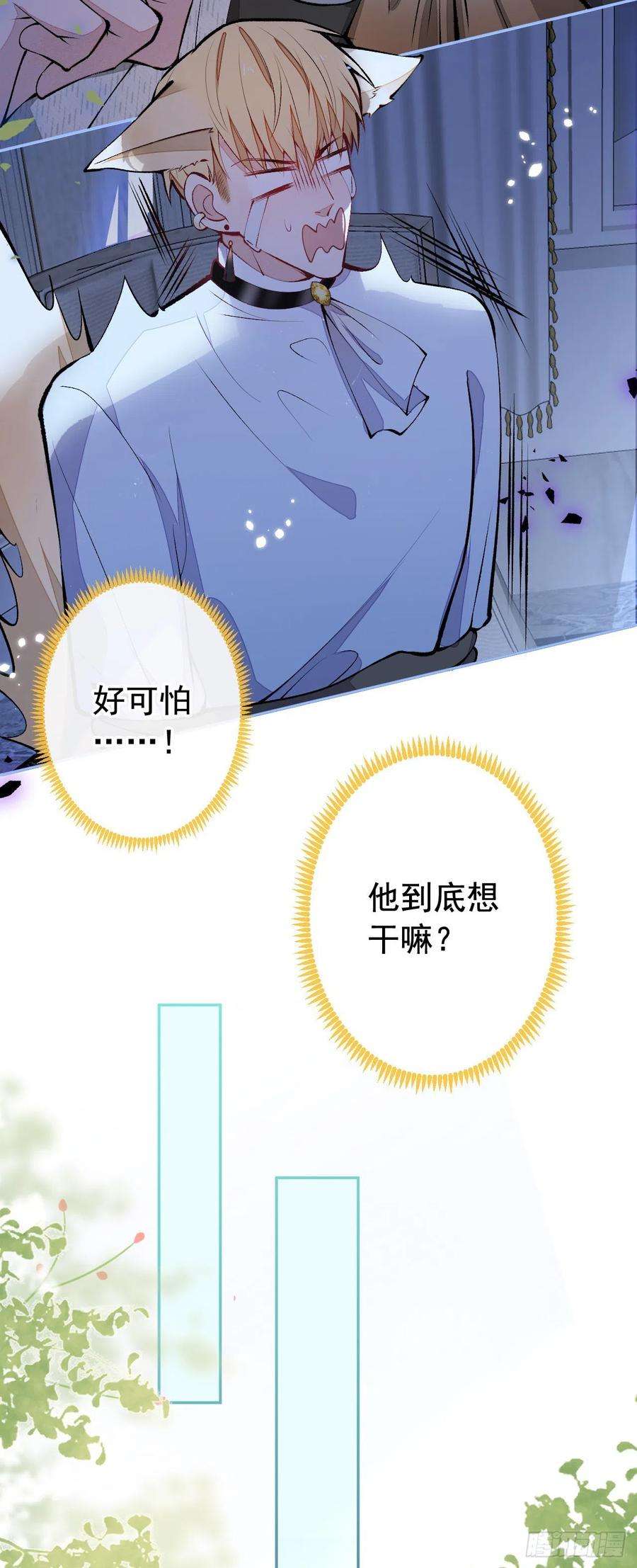 又被男神撩上热搜兽耳番外·下