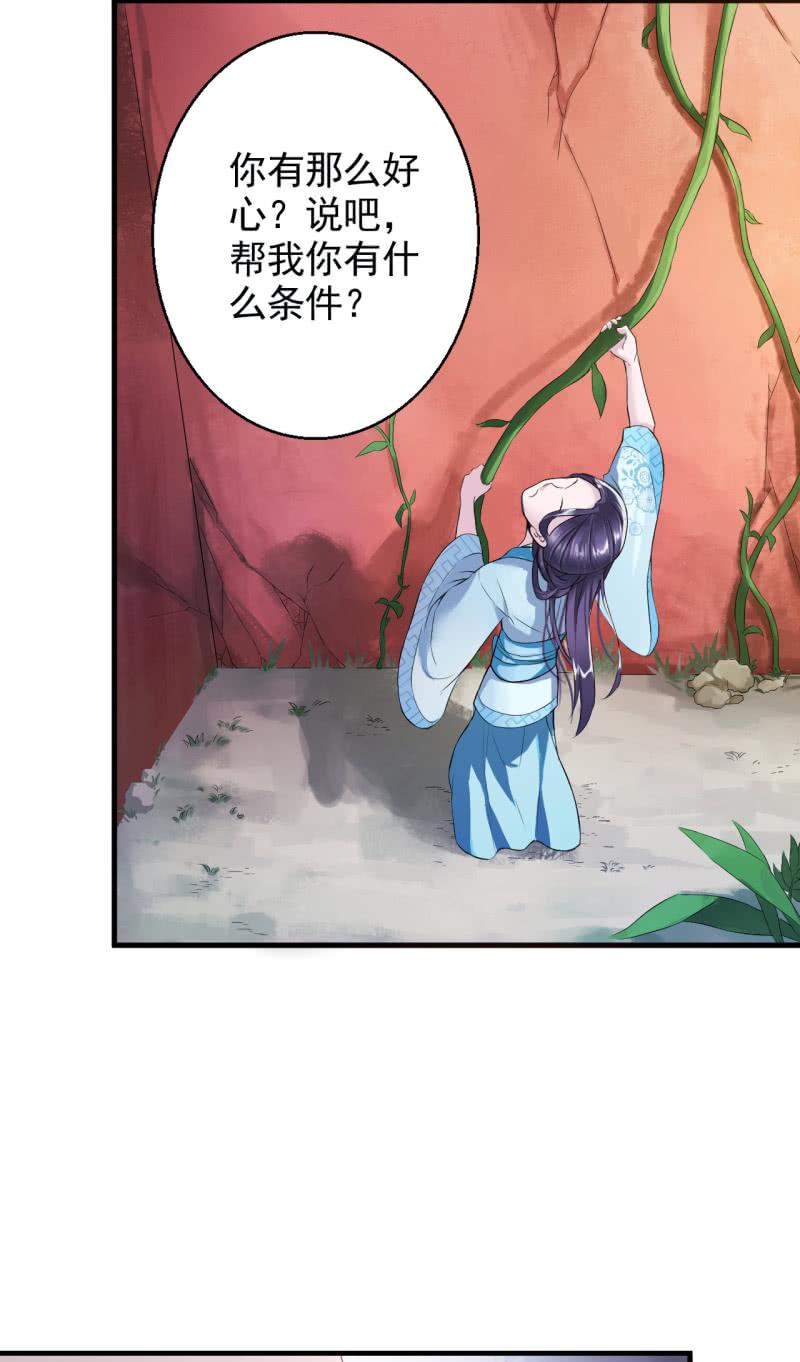 邪医狂妻4话