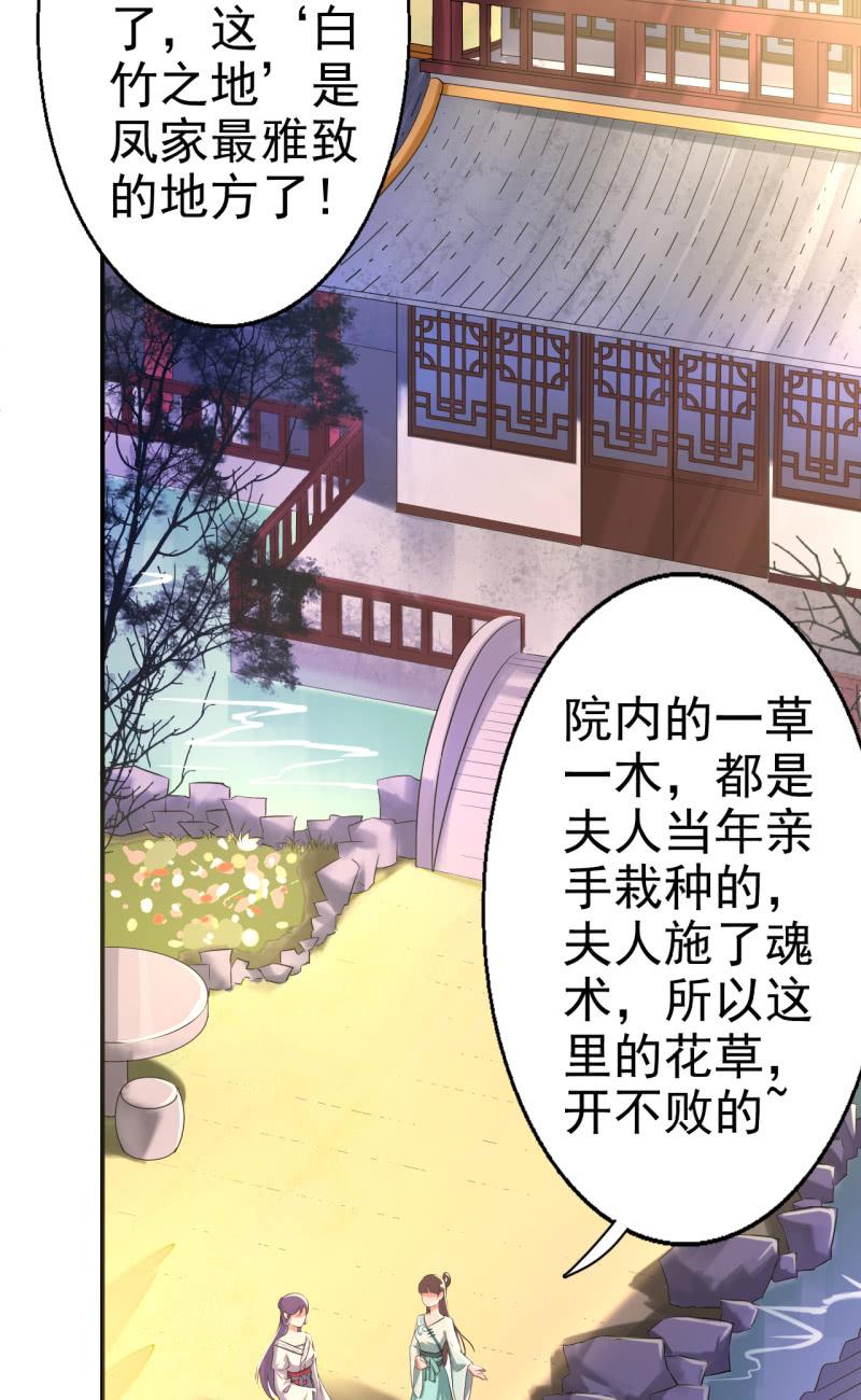 邪医狂妻29话