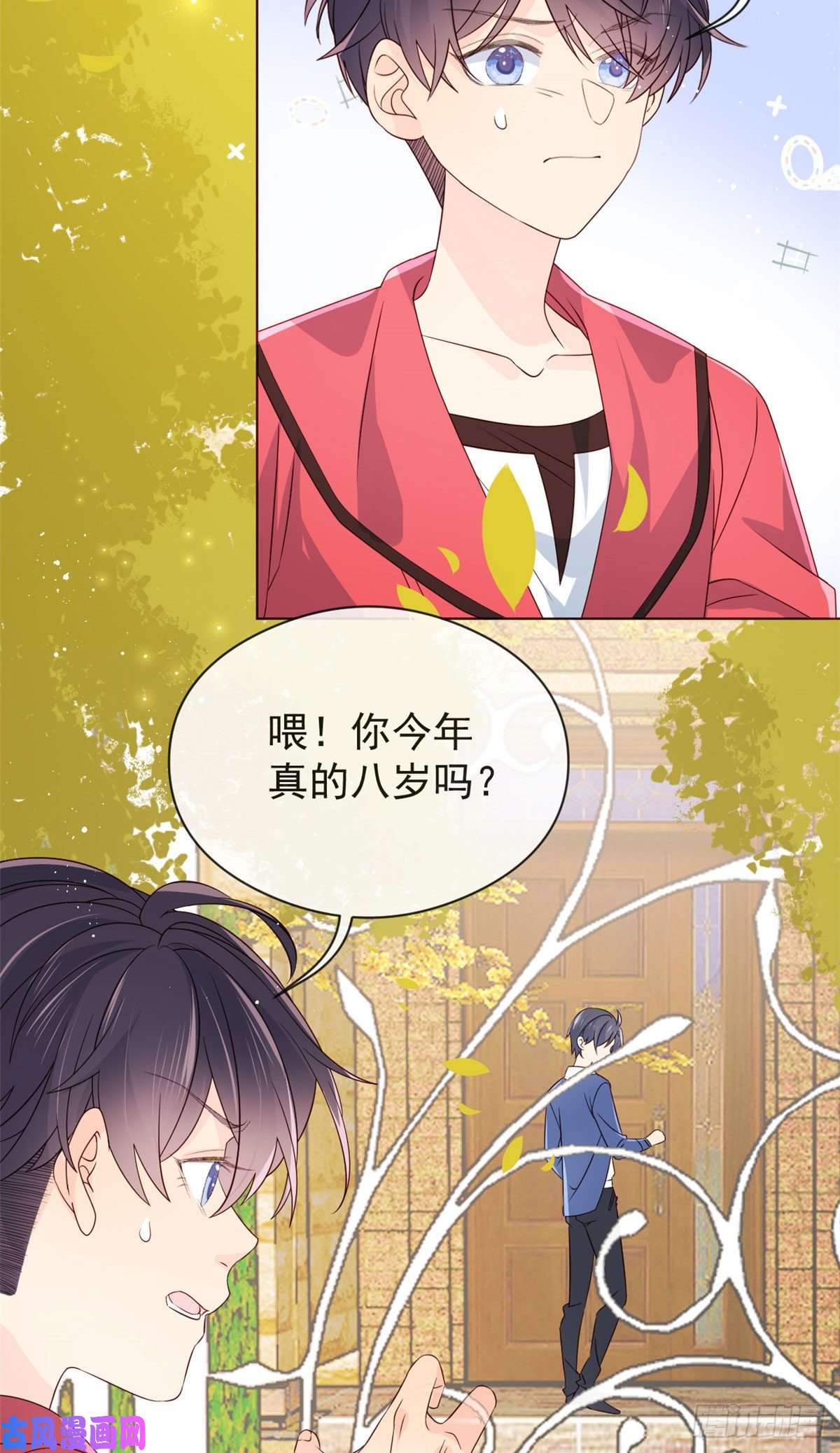 团宠大佬三岁半第8话 哥哥们的争风吃醋