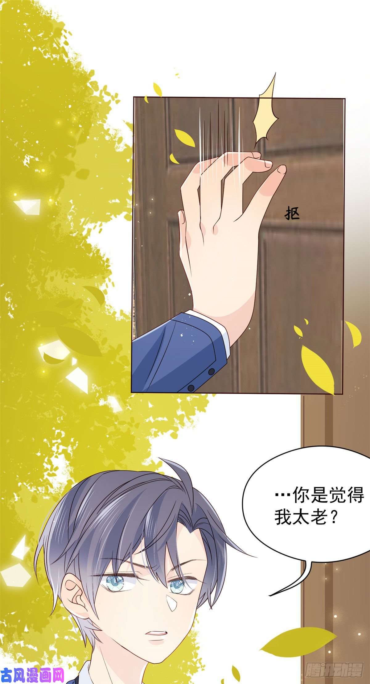 团宠大佬三岁半第8话 哥哥们的争风吃醋