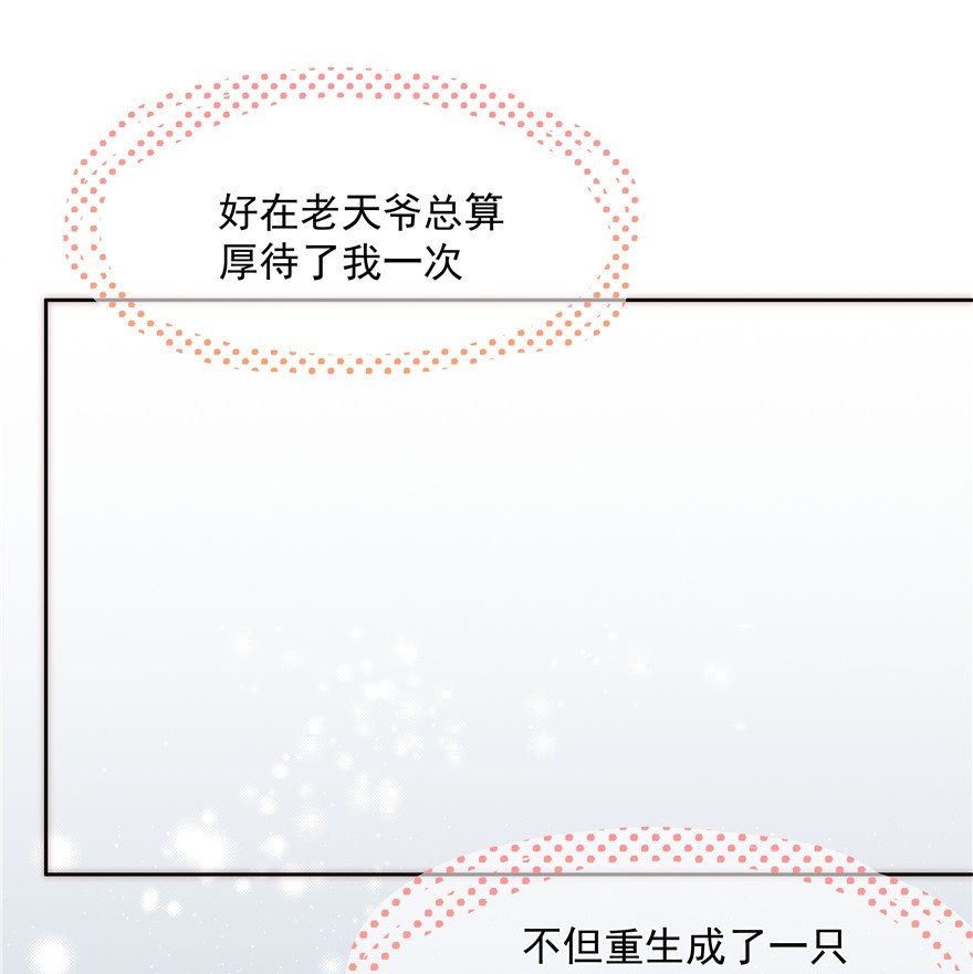 团宠大佬三岁半01 白捡来的便宜爹