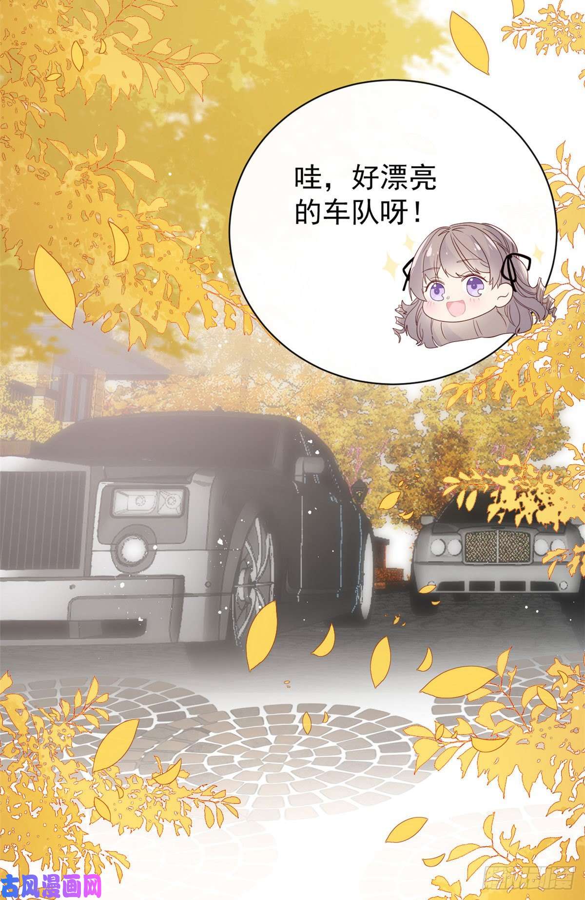 团宠大佬三岁半第21话 首次采访秀！