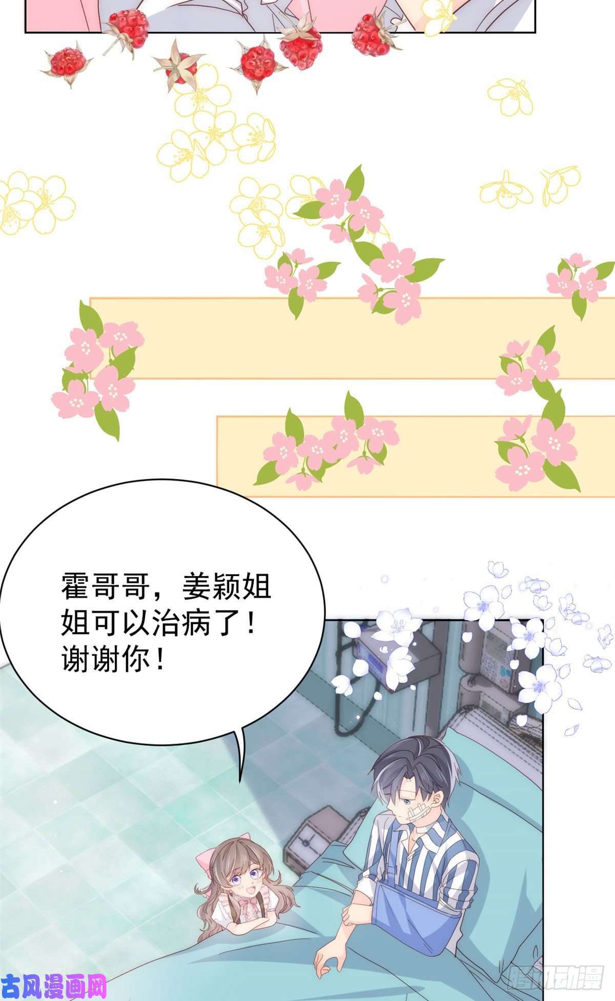 团宠大佬三岁半第45话 被金猪盯上的小白菜