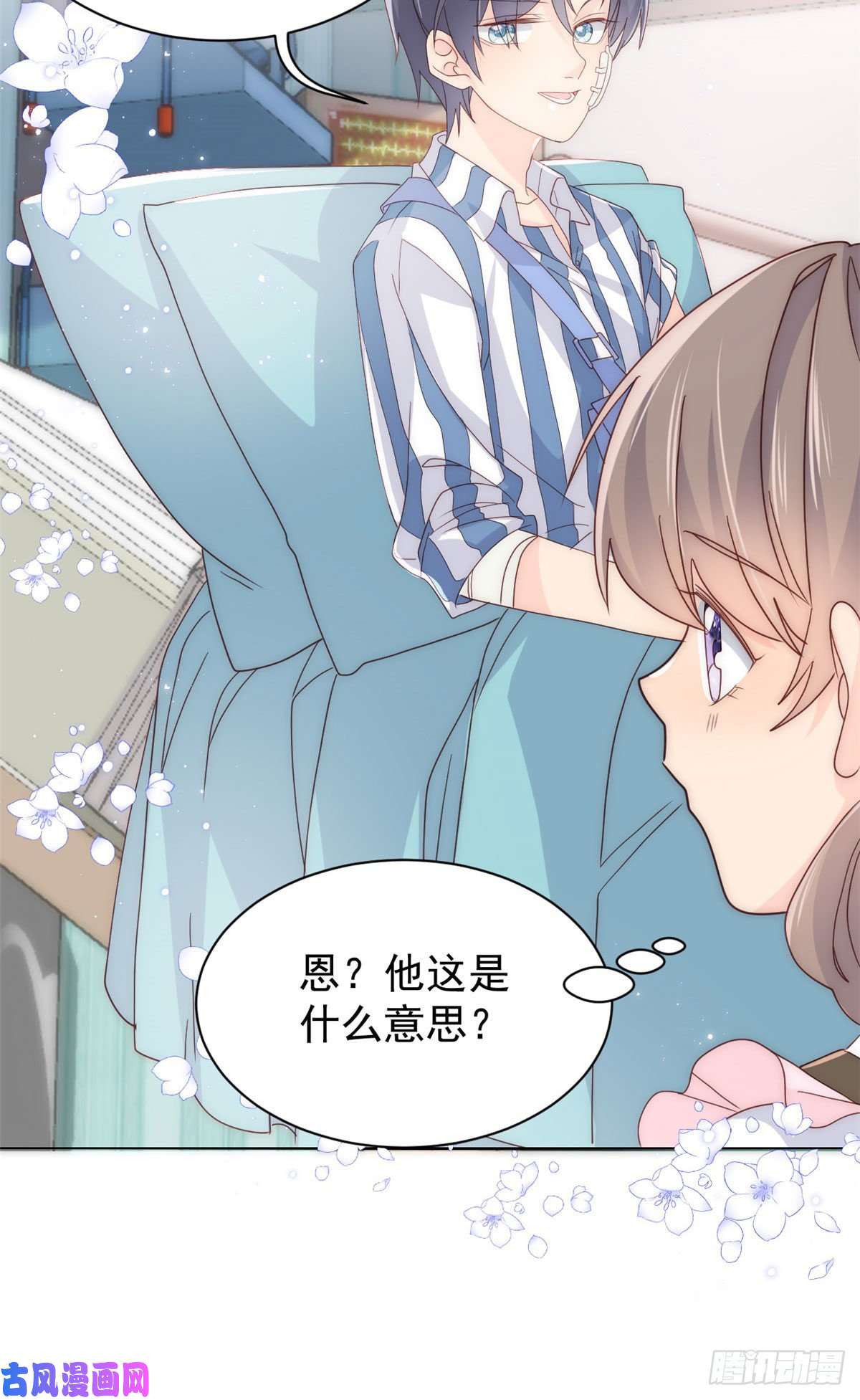 团宠大佬三岁半第45话 被金猪盯上的小白菜