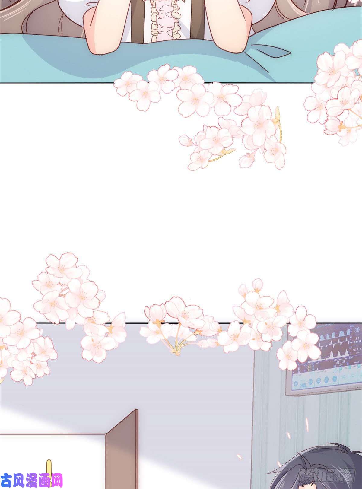 团宠大佬三岁半第45话 被金猪盯上的小白菜