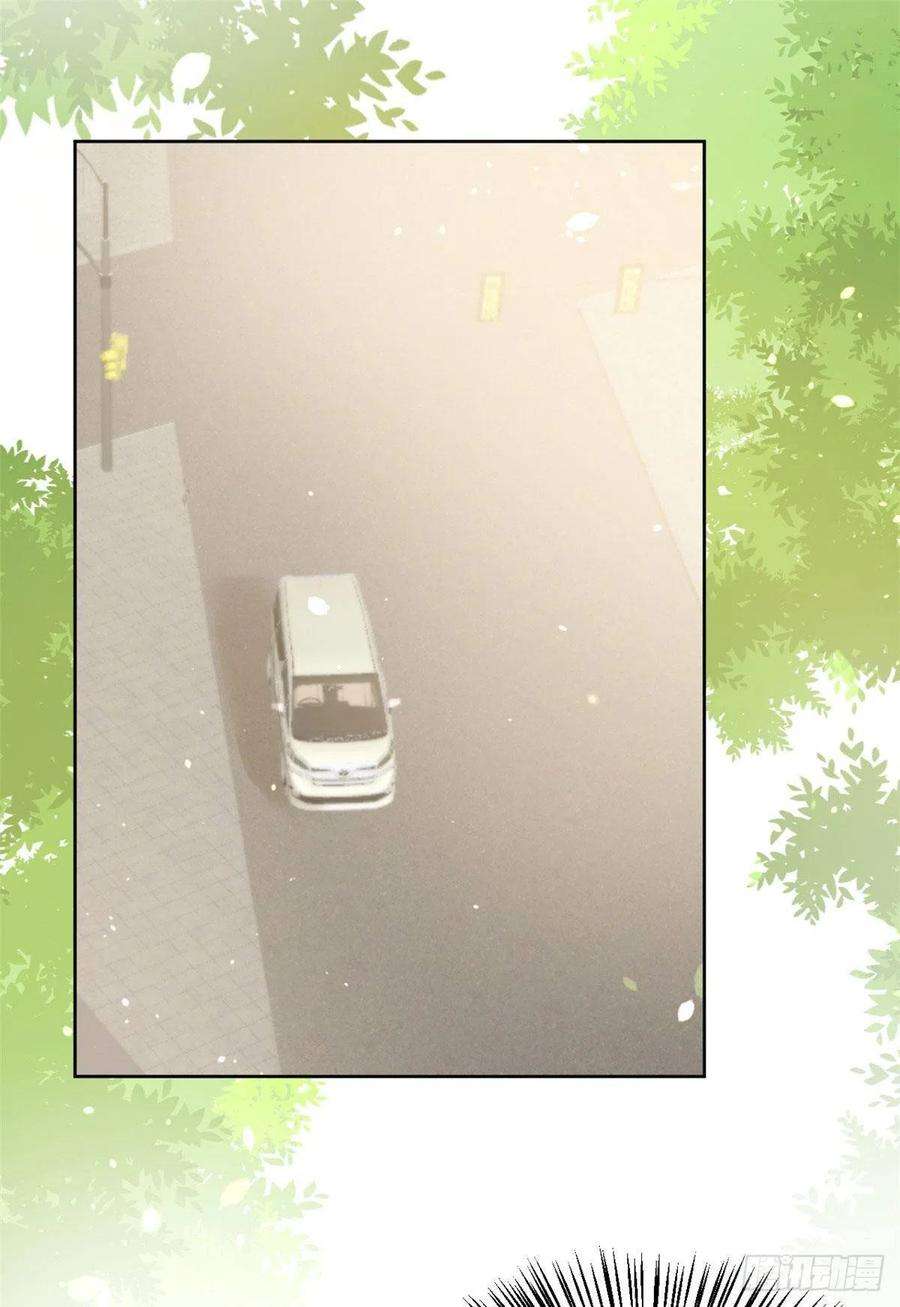 团宠大佬三岁半11话 看不见气运的小女孩