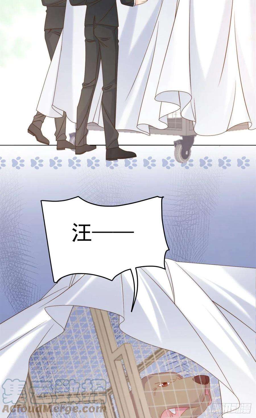 团宠大佬三岁半112话 训犬小能手