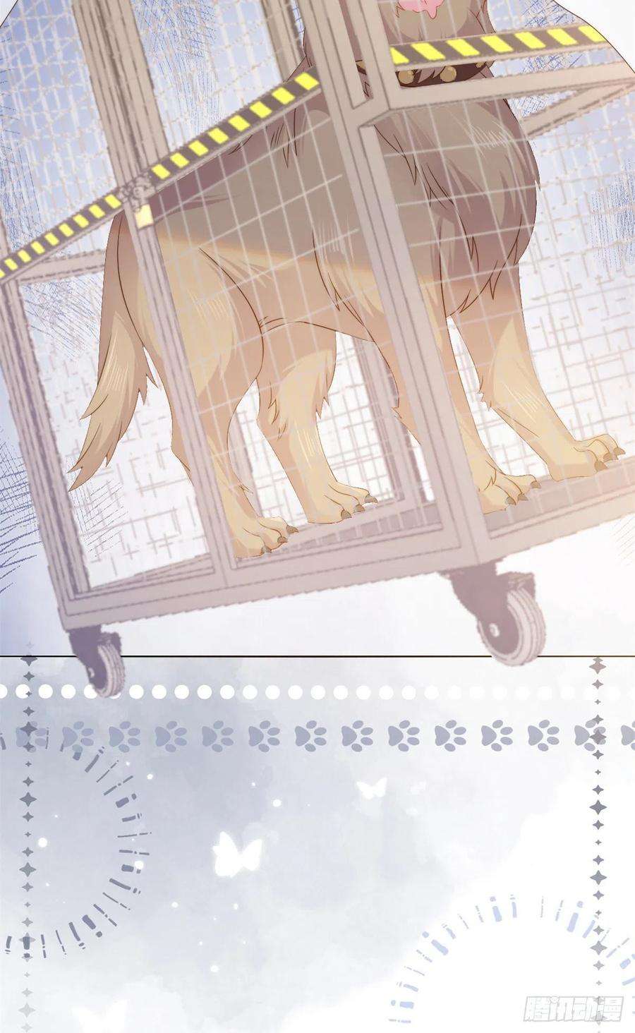 团宠大佬三岁半112话 训犬小能手
