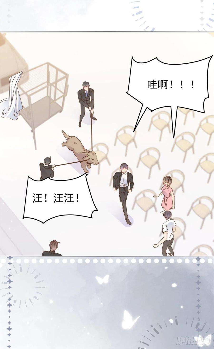 团宠大佬三岁半112话 训犬小能手