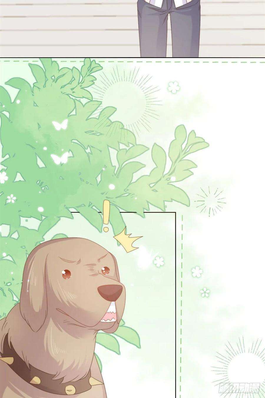 团宠大佬三岁半112话 训犬小能手