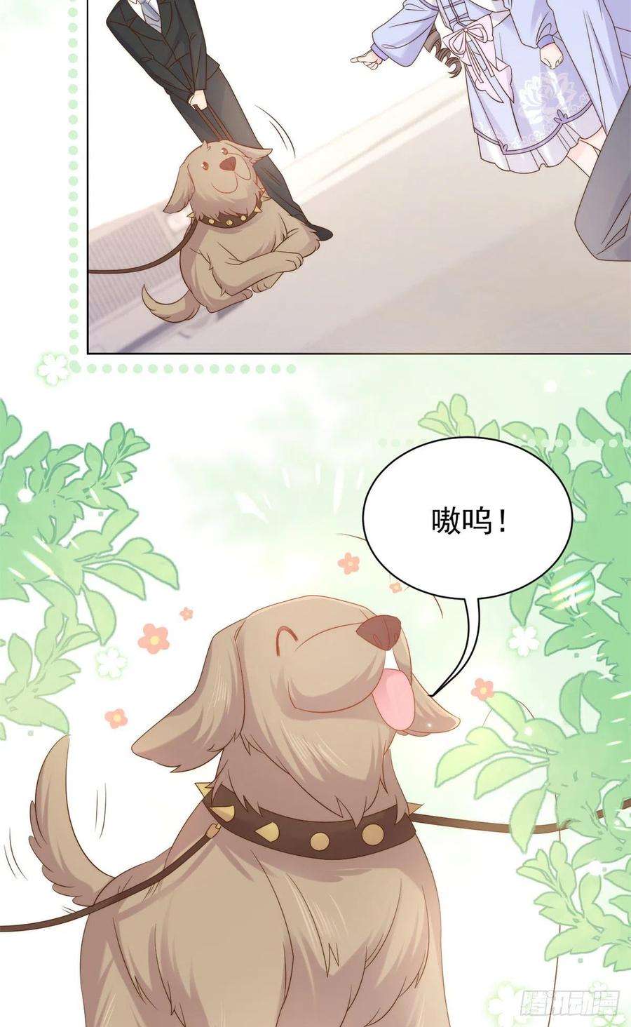 团宠大佬三岁半112话 训犬小能手