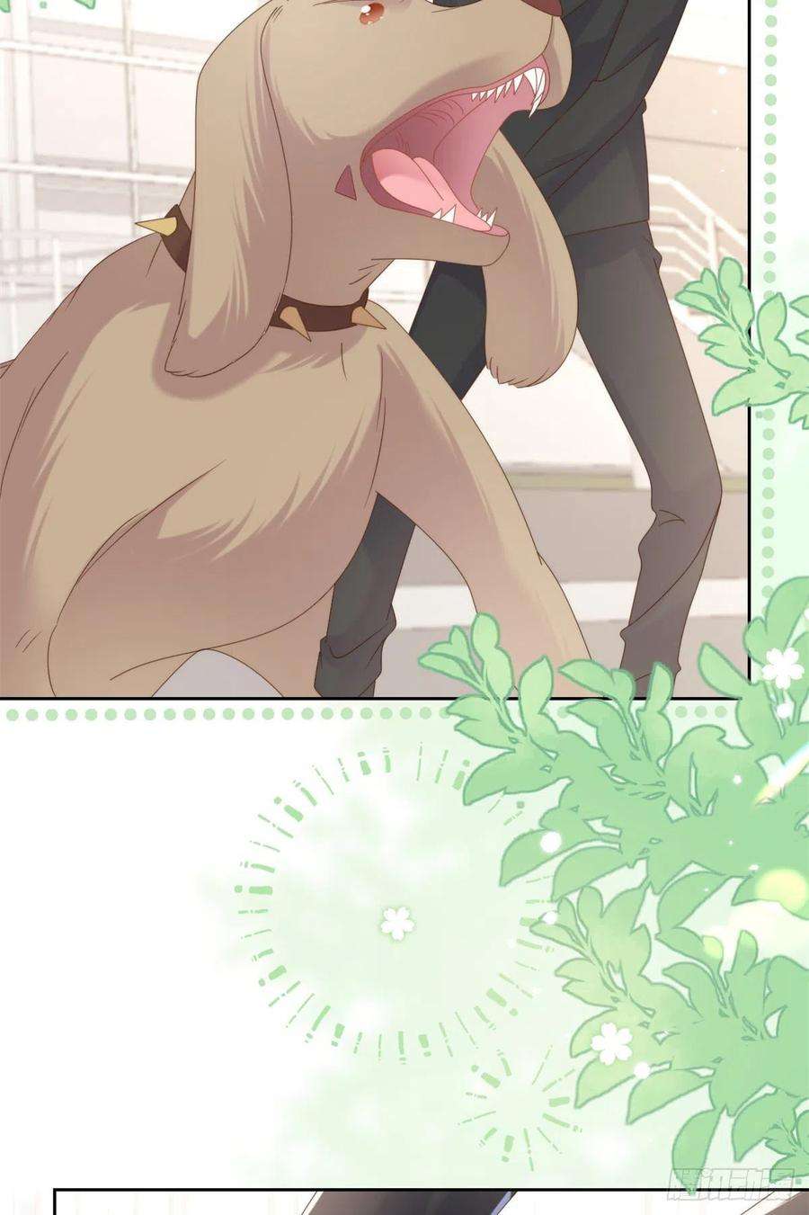 团宠大佬三岁半113话 獒犬地瓜