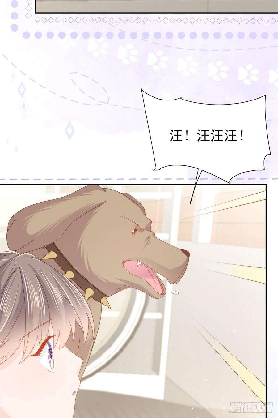 团宠大佬三岁半113话 獒犬地瓜