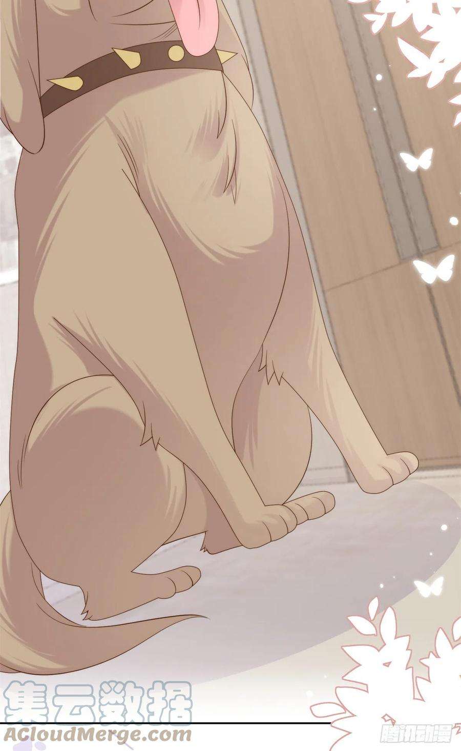 团宠大佬三岁半113话 獒犬地瓜