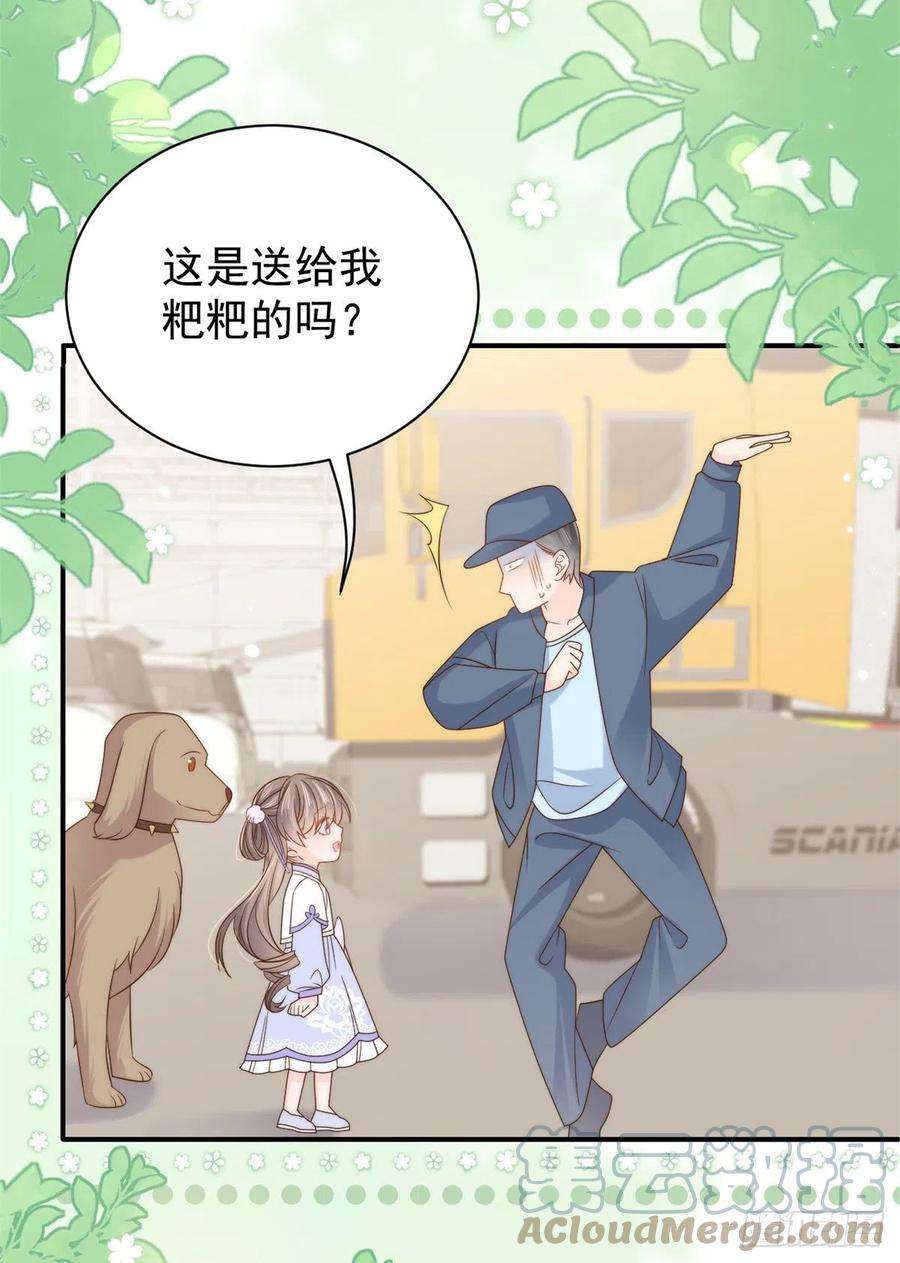 团宠大佬三岁半113话 獒犬地瓜