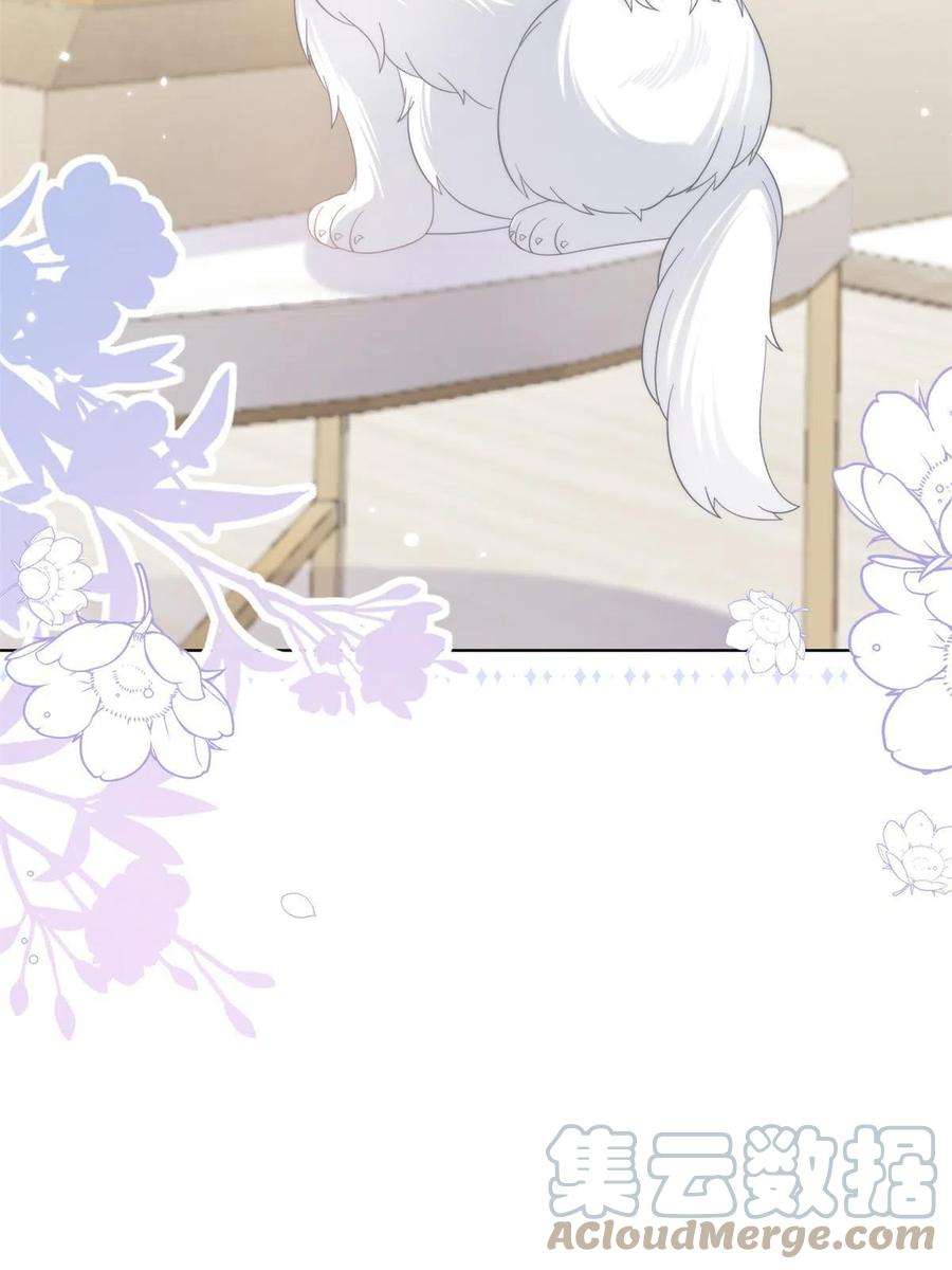 团宠大佬三岁半131话向霍哥哥坦白小秘密！