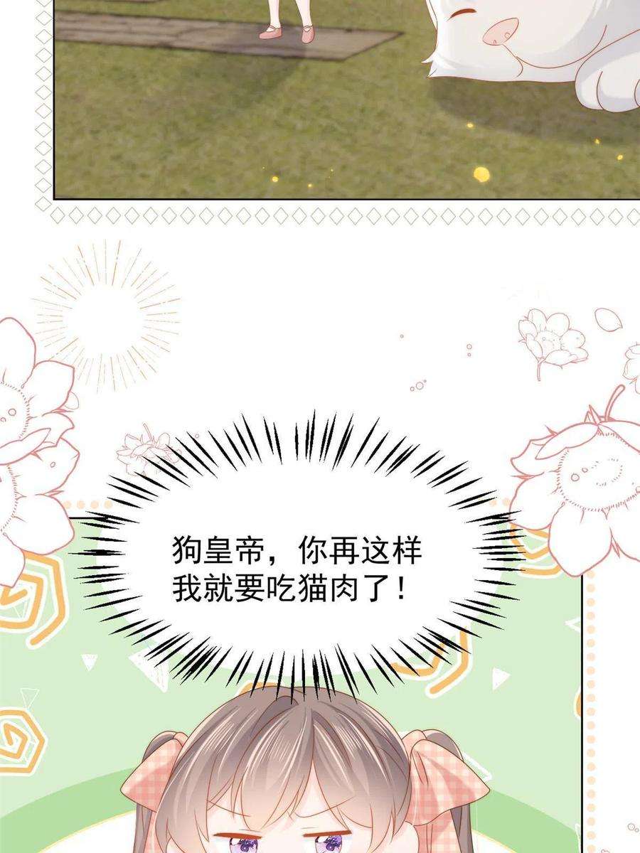 团宠大佬三岁半133话 跨越前世的对峙