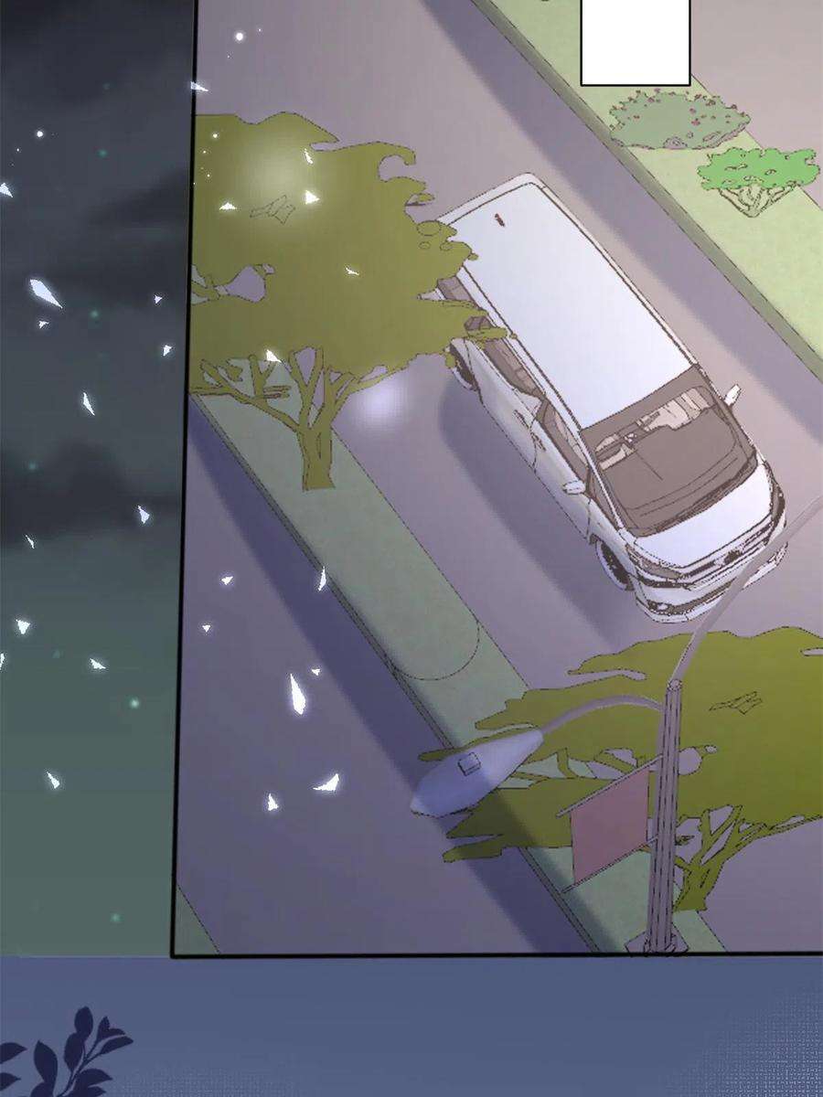 团宠大佬三岁半148话 别爱我，没结果