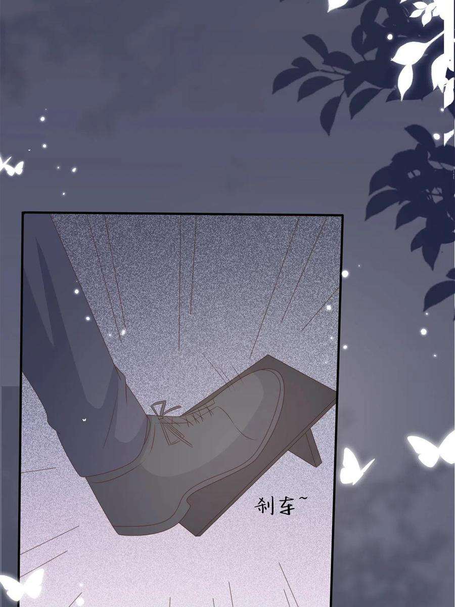 团宠大佬三岁半148话 别爱我，没结果