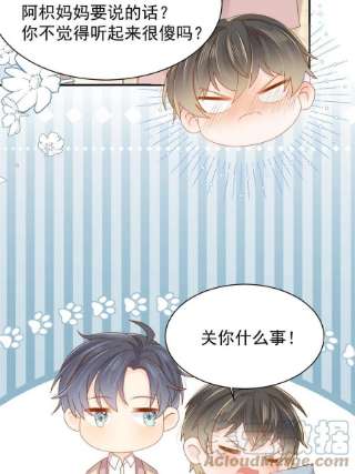 团宠大佬三岁半142话 不正常的一家人