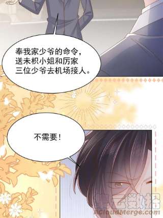 团宠大佬三岁半143话 去接妈妈！