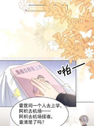 团宠大佬三岁半143话 去接妈妈！