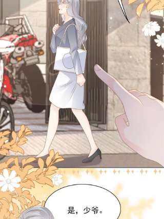团宠大佬三岁半143话 去接妈妈！