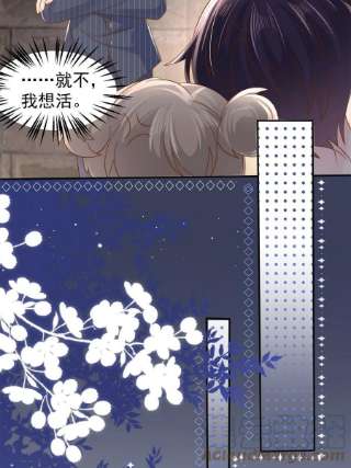 团宠大佬三岁半149话 别爱我，没结果