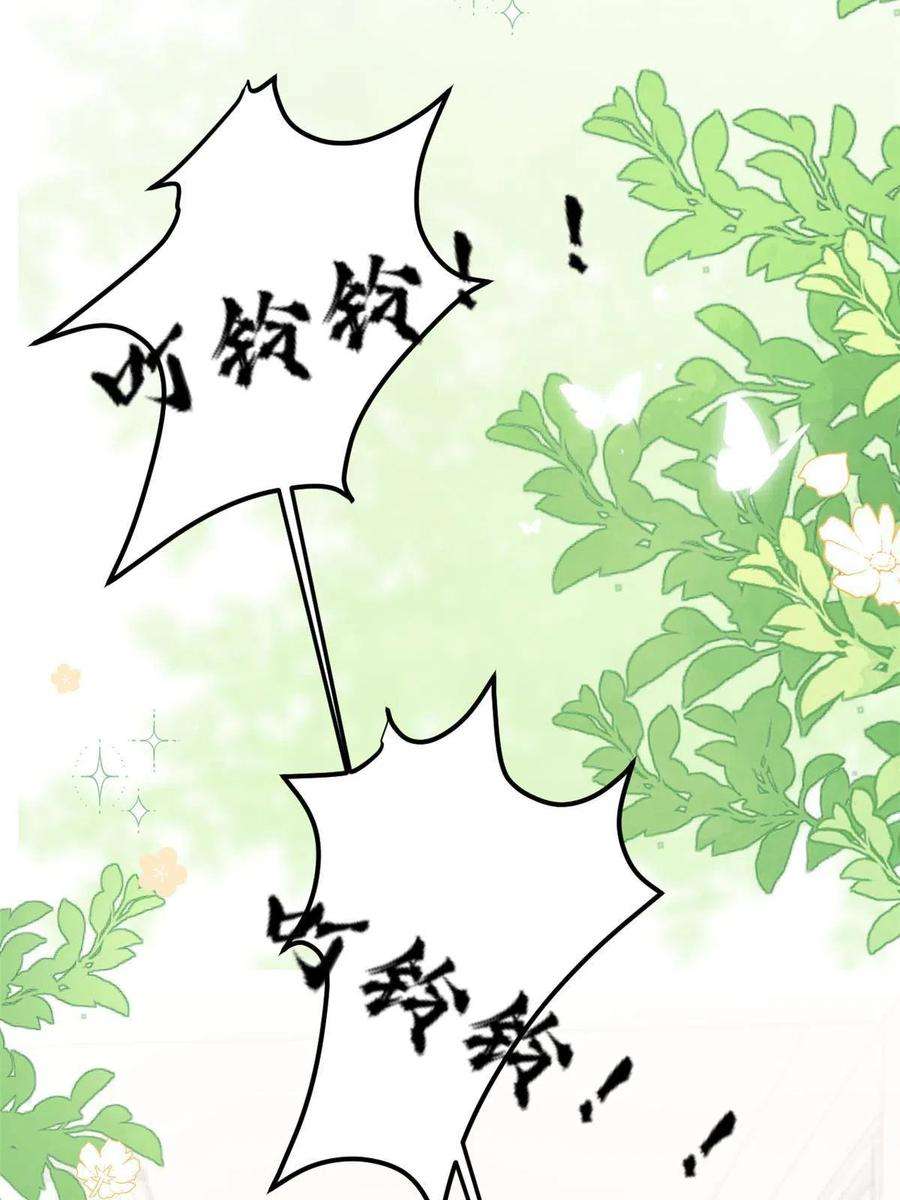 团宠大佬三岁半166话 “正室”与“小三”