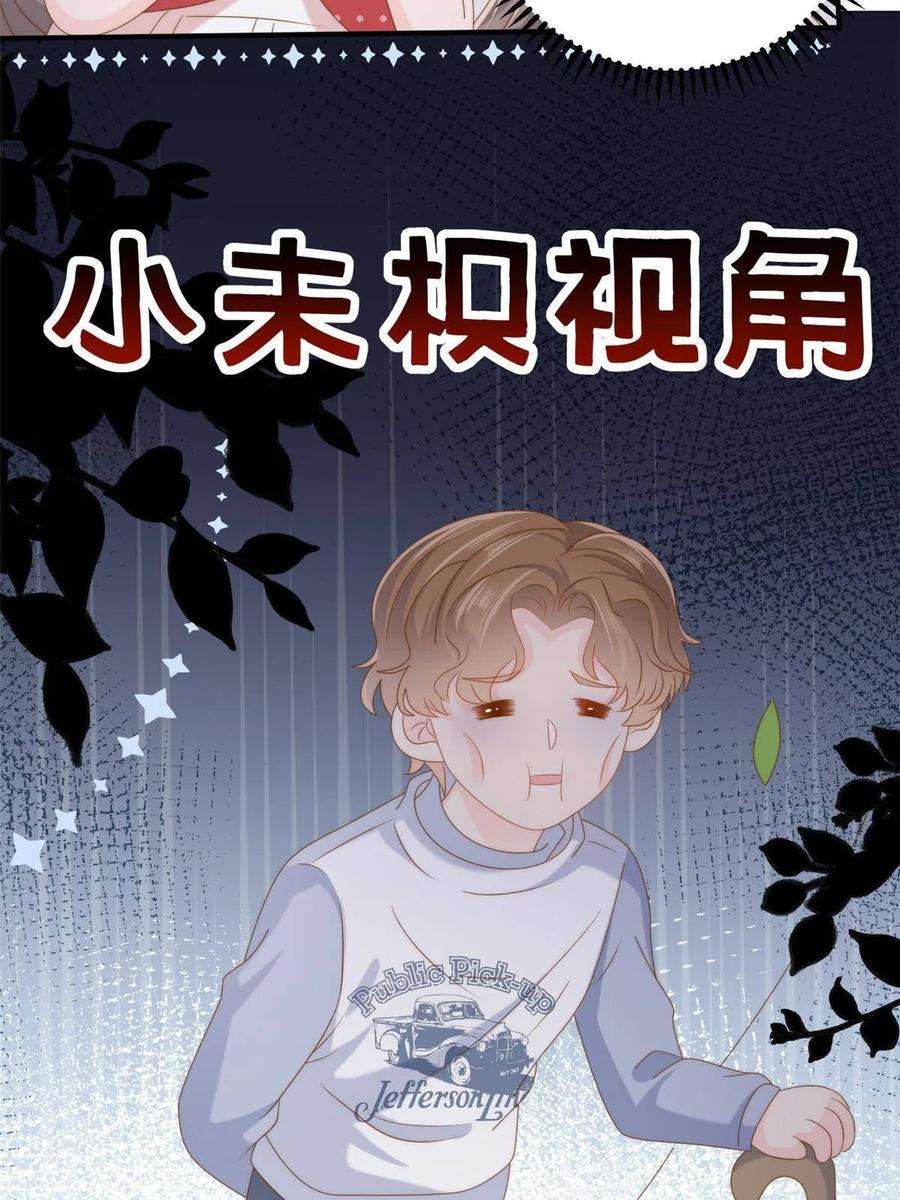 团宠大佬三岁半172话 今晚的流星好忙碌啊