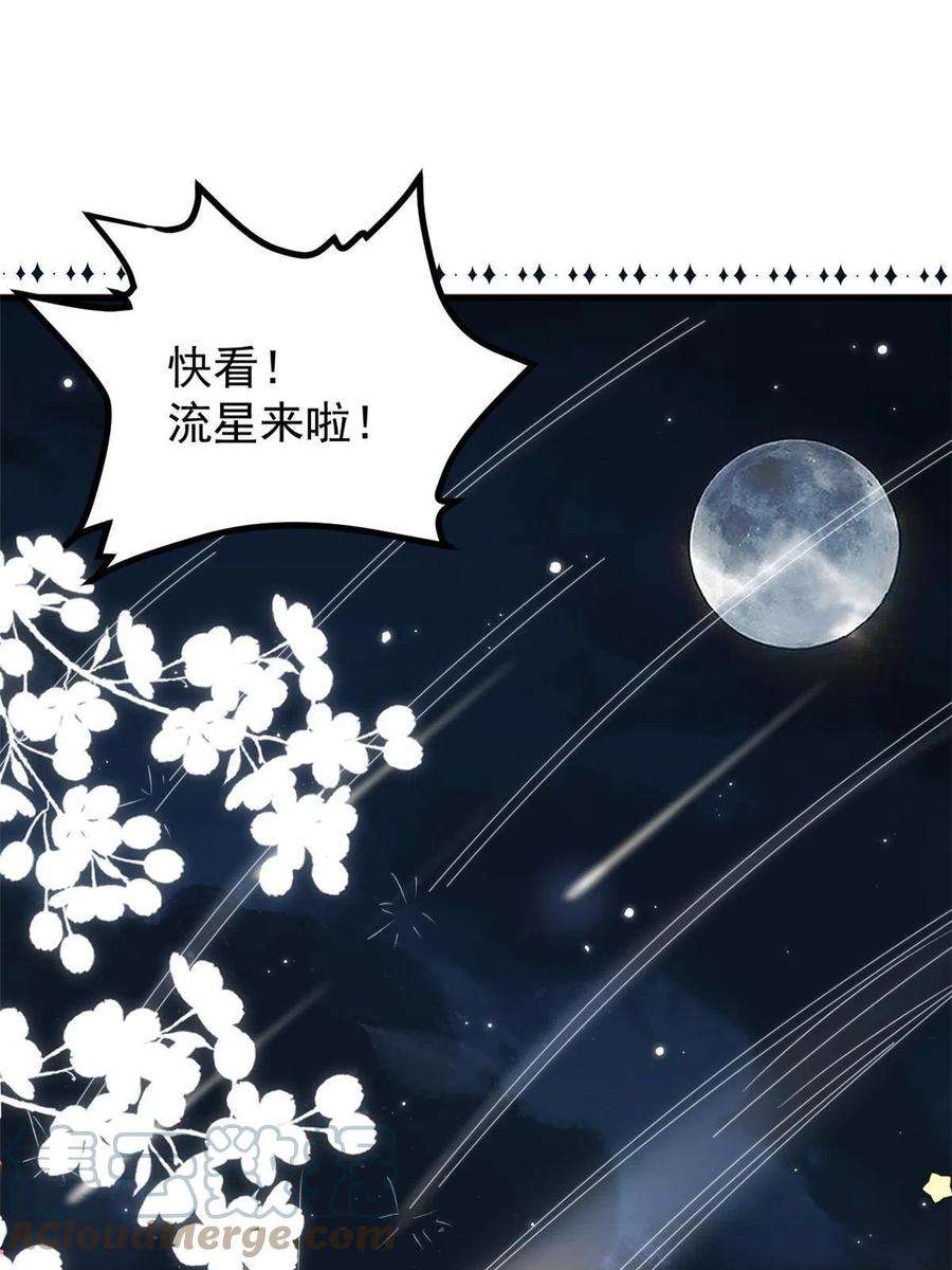 团宠大佬三岁半172话 今晚的流星好忙碌啊