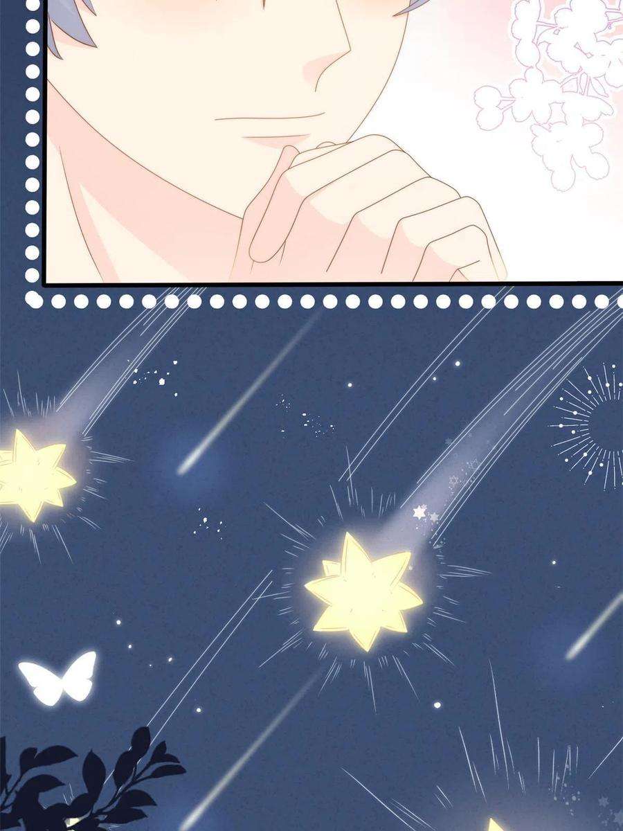 团宠大佬三岁半172话 今晚的流星好忙碌啊