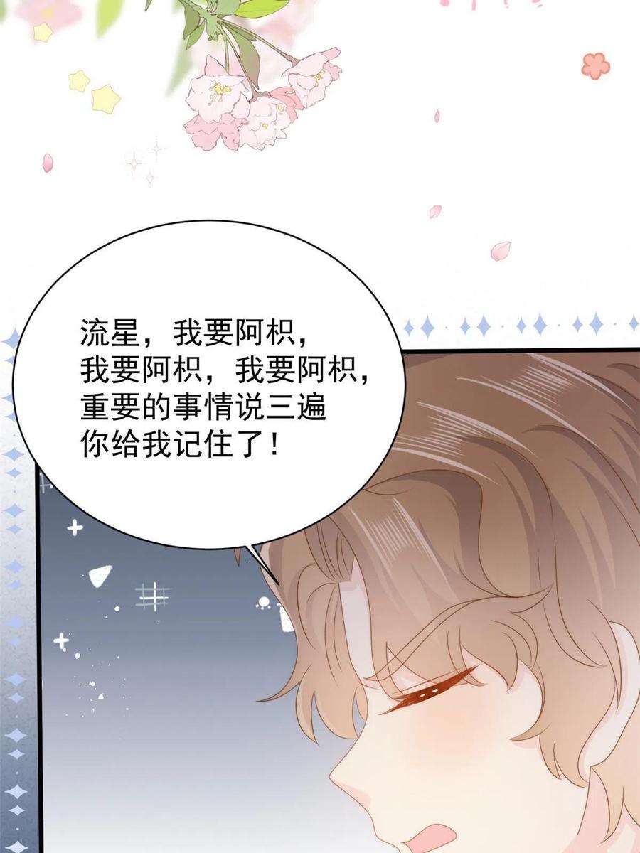 团宠大佬三岁半172话 今晚的流星好忙碌啊