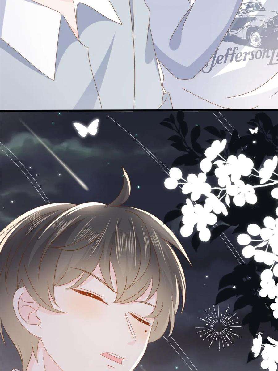 团宠大佬三岁半172话 今晚的流星好忙碌啊