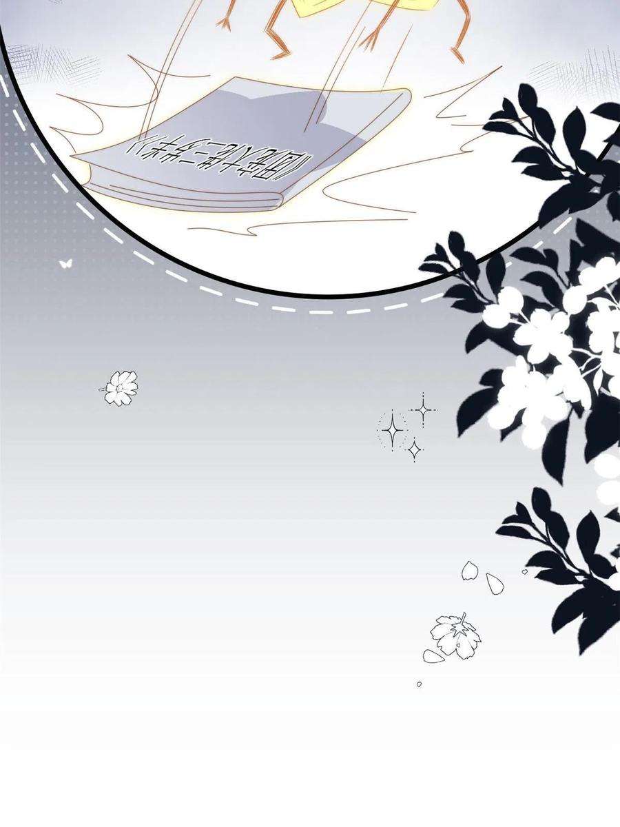团宠大佬三岁半172话 今晚的流星好忙碌啊
