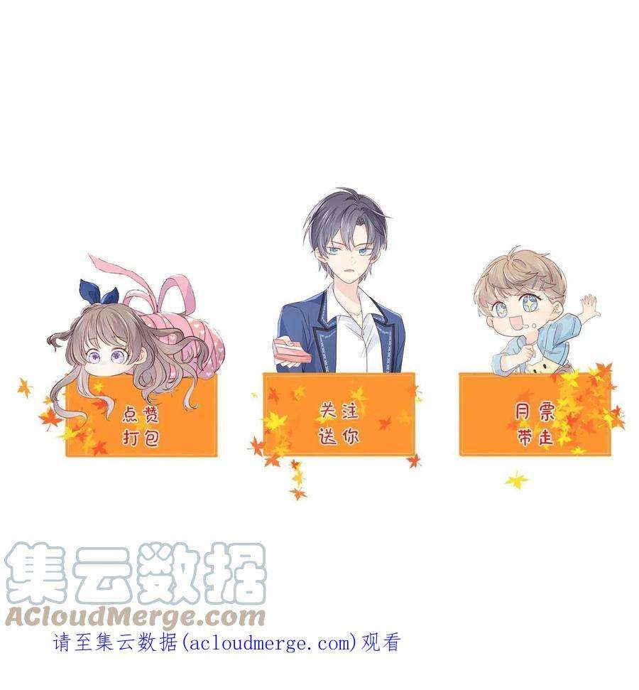 团宠大佬三岁半172话 今晚的流星好忙碌啊
