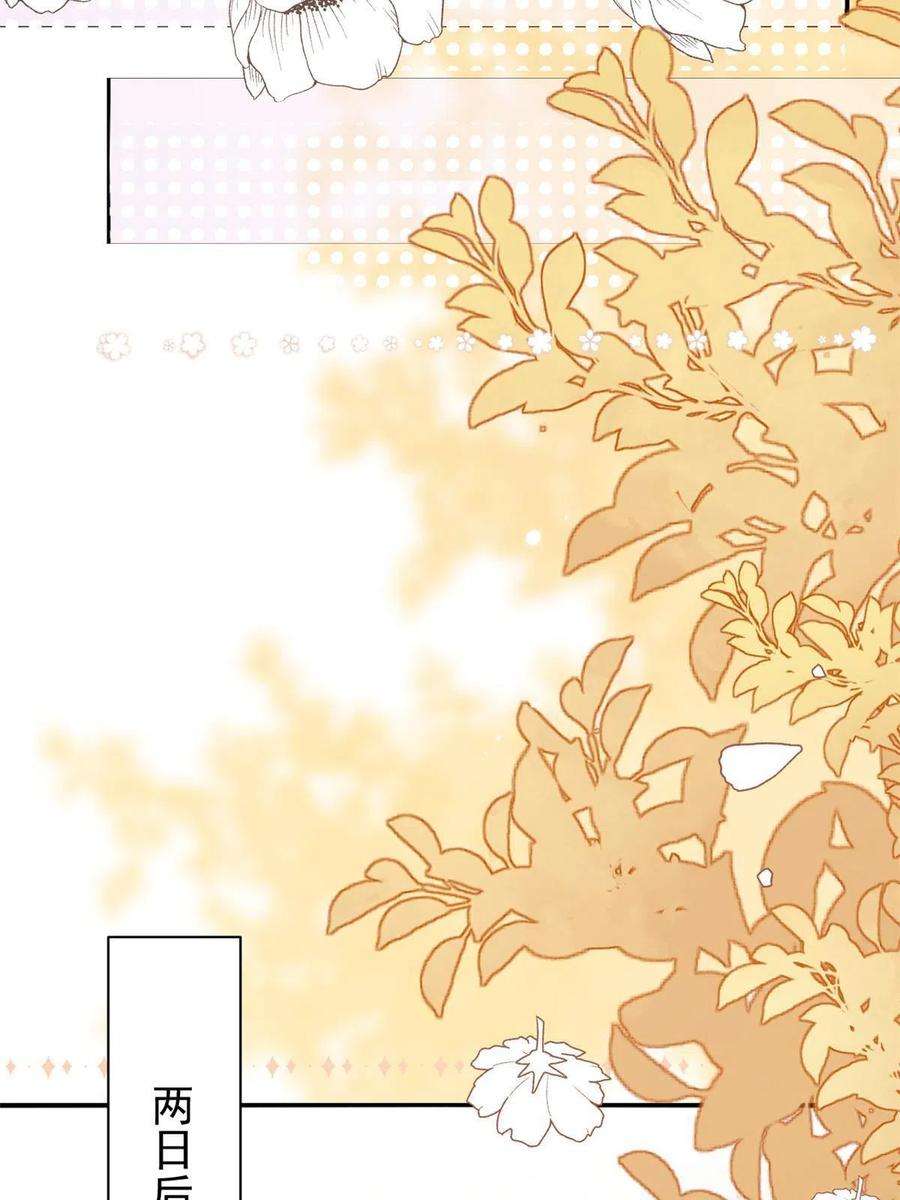 团宠大佬三岁半176话 月息后人